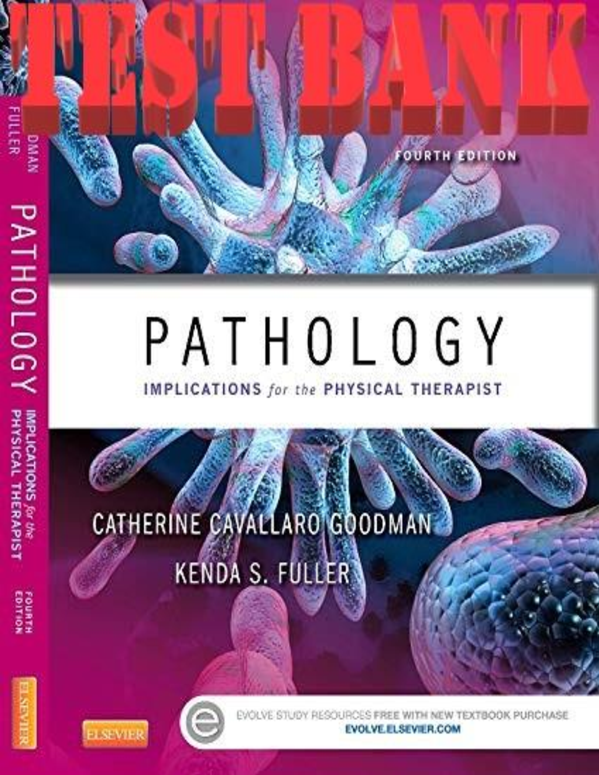 Preview image for PATHOLOGY Implications for the Physical Therapist 4th Edition Catherine, Goodman and Fuller | TEST BANK